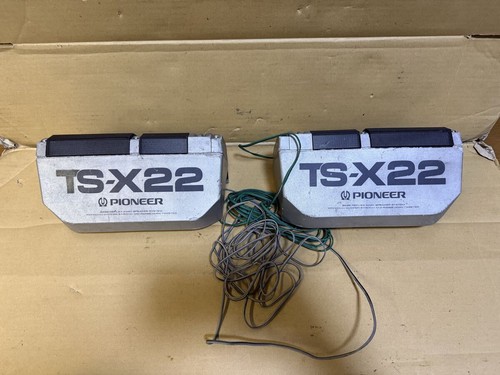 Pioneer x22 lonesome - ts-x22, carboy